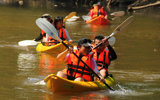 Rainforest Kayaking